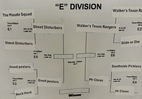E1000007481